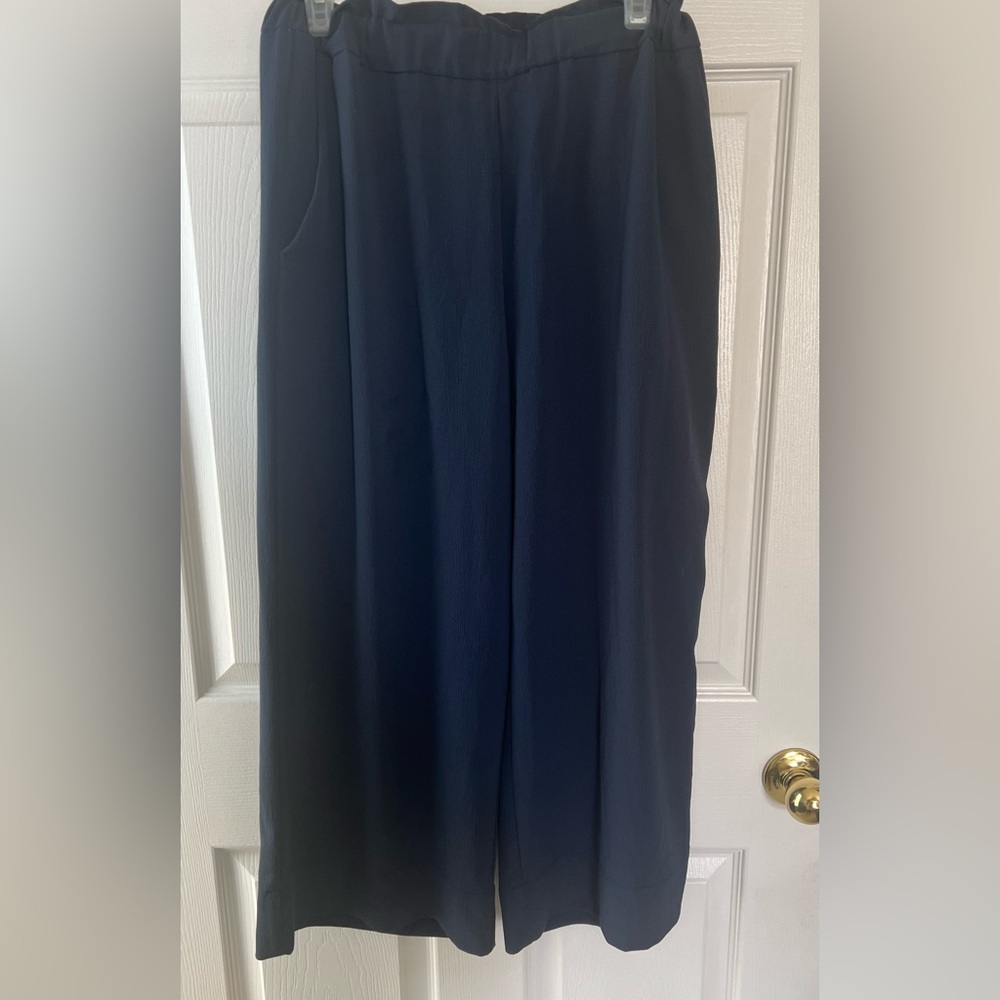 H&M Blue Wide Leg Pants